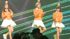 Japan Back Stage Orange Caramel Cut