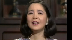 邓丽君 - 时の流れに身をまかせ