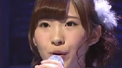 桜の花びらたち