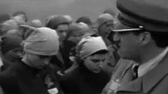 Counting Bodies Like Sheep