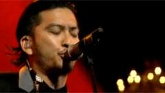 太阳と砂漠のバラ