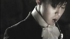 Shine A Light 演唱会