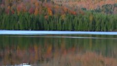 Generations George Skaroulis