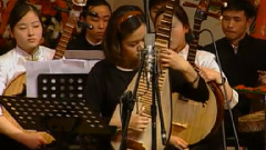 民乐群星 - 天福颂