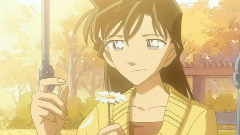 Go Your Own Way(柯南版)