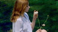 Russian Red - The Sun The Trees