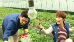 Super Junior's Experience Korea 首尔 强仁 & 晟敏