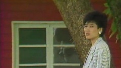 苏红 - 爱已走远