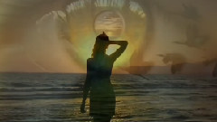 Bernward Koch - Summernight