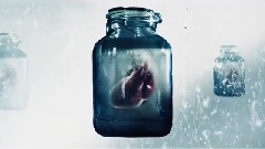 Darkness Brought Me Here