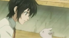 HIKALI 中日字幕动画版