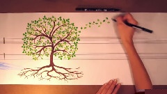 Lacrime Di Giulietta