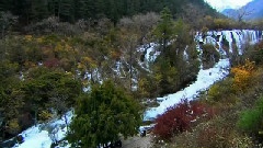 九寨沟之树正群海