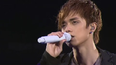 幻影 & 爱在深秋