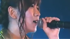 タンポポの決心