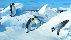 电影<快乐的大脚>