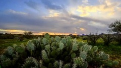 River Of Dreams(梦河)