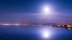 First Rose In Spring(春天第一朵玫瑰)