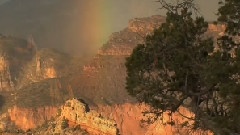 Lonely Whistler(寂寞口笛手)