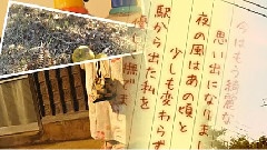 夕暮ファインダー