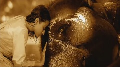 Beyond the Invisible