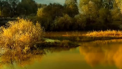 Bernward Koch - The New Day