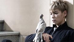 T.O.P(Bigbang),Gummy - 对不起