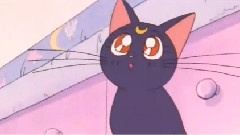 月光传说 小兔&奈留