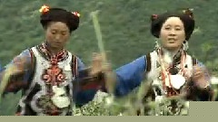 民乐群星 - 瓦西切莫