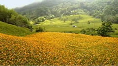 发现美丽台湾之秋