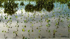 风景,音乐短片 - 发现美丽台湾之冬