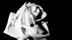 Kelly Sweet - Ashes of My Paradise