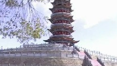 绊人的桩不在高