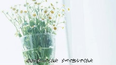 ひだまりの詩 饭制版