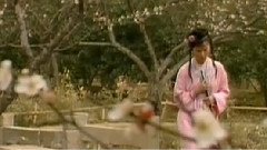 陈力 - 葬花吟 周末电影音乐欣赏