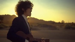 L.P. - Into The Wild