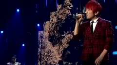 我爱你塞北的雪