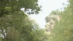 山丹丹开花红艳艳