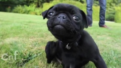 I'm Ready For My Closeup