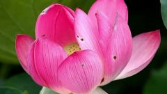 West Across The Ocean Sea