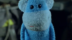 Monkey See Monkey Do