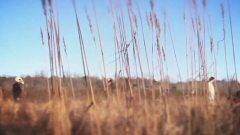Stones From The Riverbed