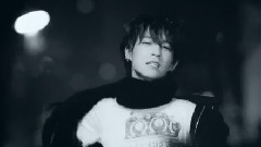 Ljoe李秉宪2013生贺