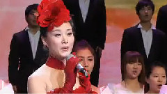 放歌九十年 庆祝中国共产党成立90周年十集电视文艺专题片