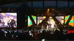 会是怎样呢 & 鸟