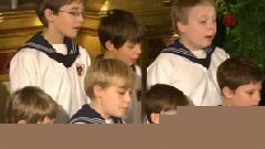 打铁法兰西波尔卡