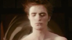 Eisblume - Fur Immer