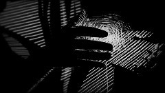 What Is This Thing Called Love