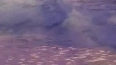 Dancing With The Wind