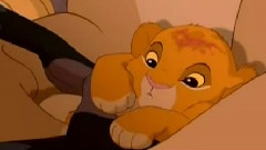 Can You Feel The Love